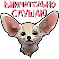 Собачки