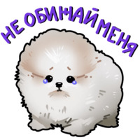 Собачки