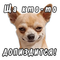 Животные