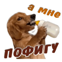 Животные