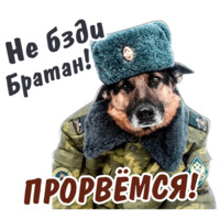 Животные