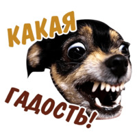 Животные
