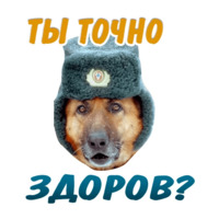 Животные