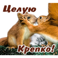 Животные
