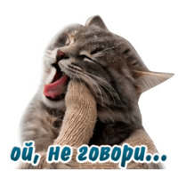 Животные