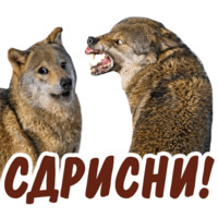 Животные