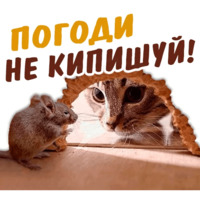 Животные