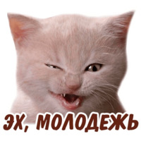 Животные