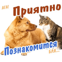 Животные