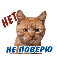 Животные