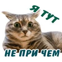 Животные