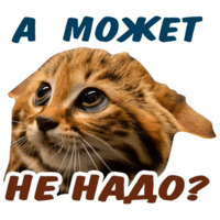 Животные