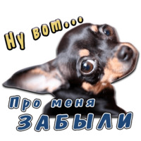 Животные