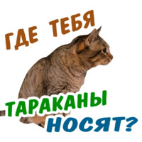 Животные