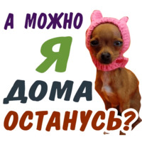 Животные