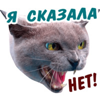 Животные