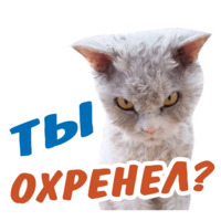 Животные