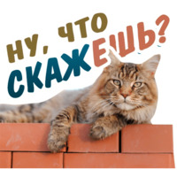 Животные
