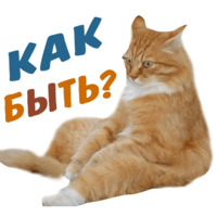 Животные