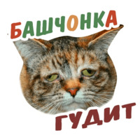 Животные