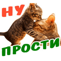 Животные