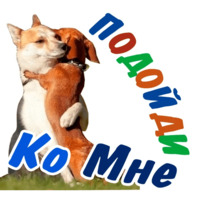 Животные