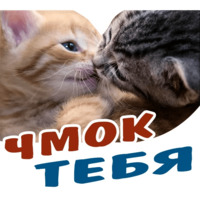 Животные