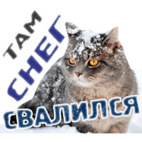 Животные