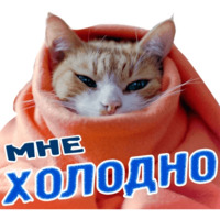 Животные