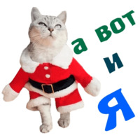 Животные