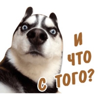 Животные