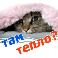 Животные