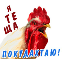 Животные