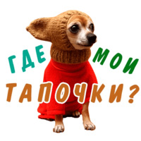 Животные