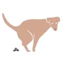 Animated Animals part 2