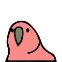 Animated Animals part 2