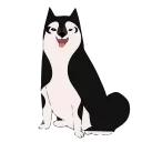 Animated Animals part 2