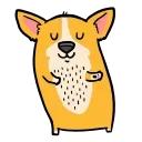 Animated Animals part 2
