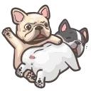 Animated Animals part 2