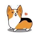 Animated Animals part 2