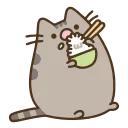 AnimatedPusheen @IMG2D