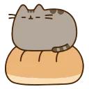 AnimatedPusheen @IMG2D