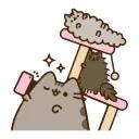 AnimatedPusheen @IMG2D
