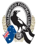 Набор стикеров Australian Football Teams