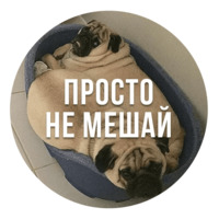 Злобные Мопсы