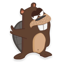 Бобёр