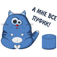 Кот Беляшик