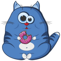 Кот Беляшик