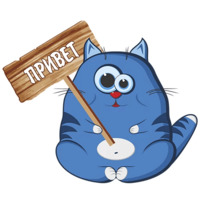 Кот Беляшик