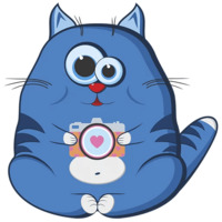 Кот Беляшик